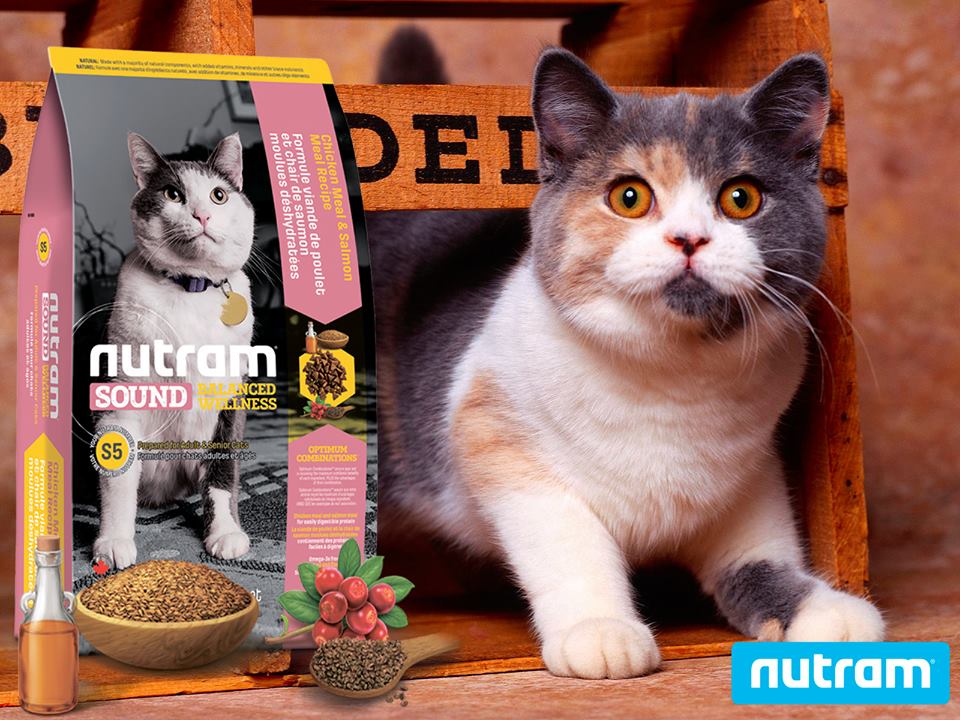 Корм Нутрам для кошек купить в Украине на развес в зоомагазине GoDog в Запорожье.