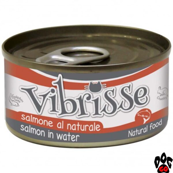 Корм ВИБРИСС (VIBRISSE) для котов с лососем в собственном соку, 70 г