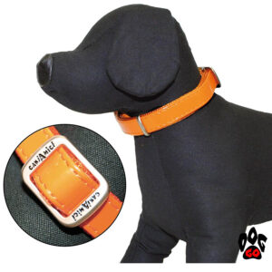 Лакированный ошейник для собак CROCI MYLORD из искусственной кожи с нейлоном, оранжевый