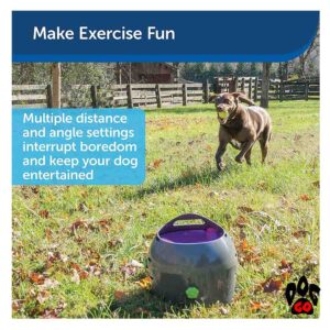 Автоматический метатель мяча для собак PetSafe - 5