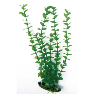 Рослина ROTALA CLASSIC MD, штучна, 17см