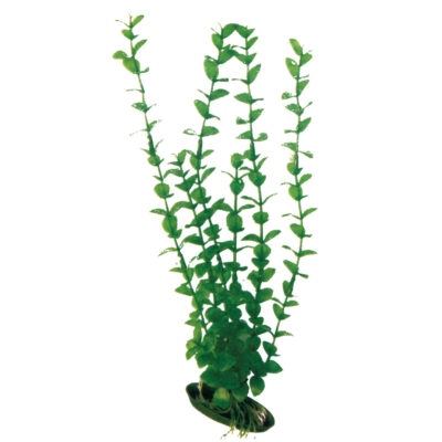 Рослина ROTALA CLASSIC LG, штучна, 23см