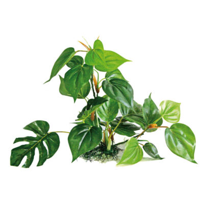 Рослина REPLICA ANUBIAS, штучна, 30см