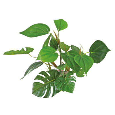 Рослина REPLICA ANUBIAS, штучна, 20см