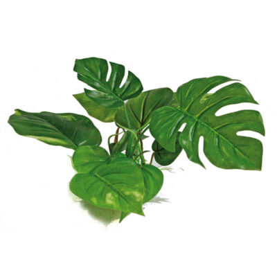 Рослина REPLICA ANUBIAS, штучна, 15см