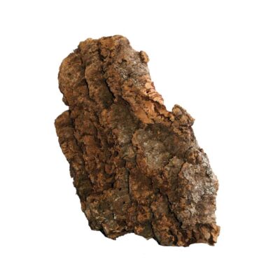 Декорація коряга PIATTA, плоска, 25х35 см (для тераріумів)