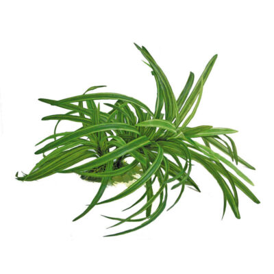 Рослина REPLICA DRACENA, штучна, 25см