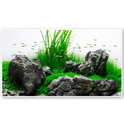 Фон двосторонній AMAZONIA, 30х60см