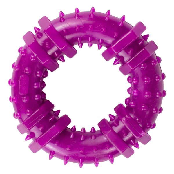 Іграшка "AGILITY"для собак кільце з шипами 9см, фіолетове