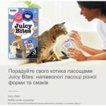 Ласощі INABA "Juicy Bites" для котів, соковиті снеки зі смаком домашнього бульйону і кальмарів 1стік /11,3 гр