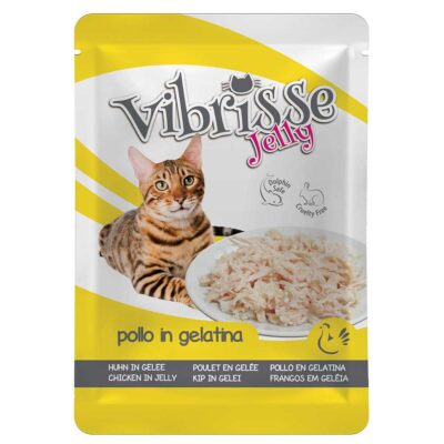 Пауч для кот. VIBRISSE JELLY, куряче філе в желе, 70г
