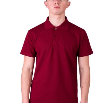 Футболка чоловіча поло 14-1350 бордовий 4XL