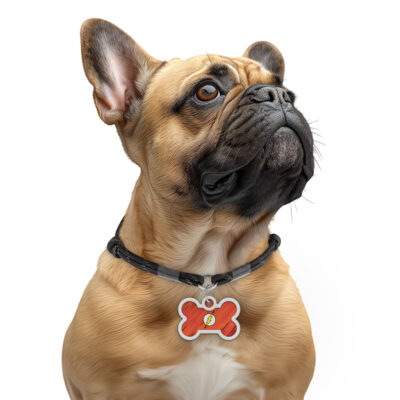 Адресник WAUDOG Smart ID для собак з QR паспортом 6