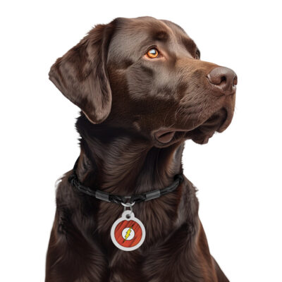 Адресник WAUDOG Smart ID для собак з QR паспортом 6