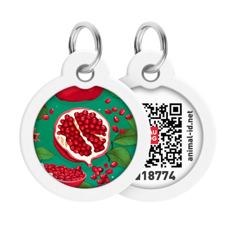 Адресник для собак WAUDOG Smart ID з QR паспортом