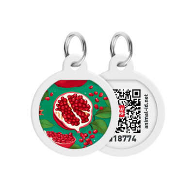 Адресник для собак WAUDOG Smart ID з QR паспортом