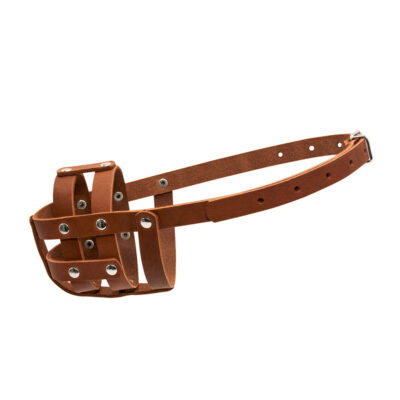 Намордник м'який "CoLLaR" №0 для спанієлів, коричневий, шкіра, довжина морди 6 см, обхват 25 см 3