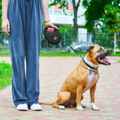 Повідець-рулетка WAUDOG R-leash L, 5 м, до 40 кг, чорний, з контейнером для пакетів 8