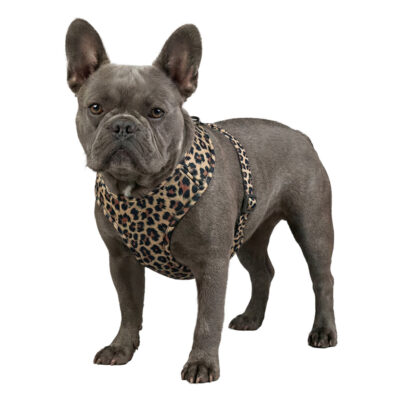 Шлея дихаюча WAUDOG Mesh з QR адресником, S, обхват грудей 35-48 см, малюнок «Леопард» 4