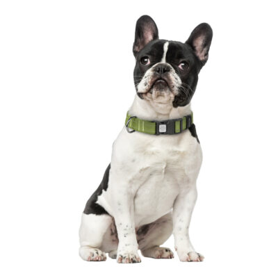 Нашийник для собак CoLLaR Брезент, пластик, розмір M, довжина 33-49 см, ширина 25 мм 4