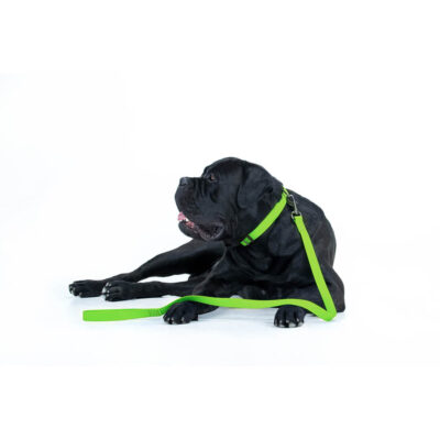 Повідець для собак WAUDOG Waterproof, водостійкий, 20 мм×183 см, салатовий 6