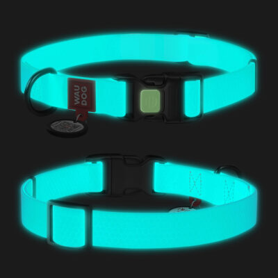 Нашийник WAUDOG Waterproof, водостійкий, светонакопичувальний, для собак, 25 мм, 38-58 см