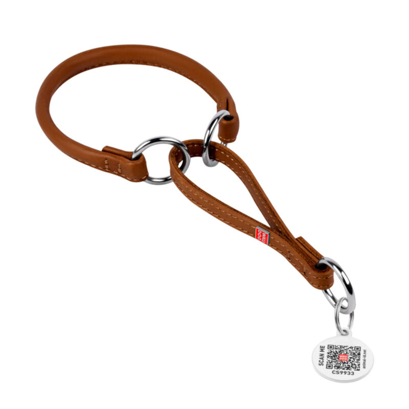 Нашийник-зашморг WAUDOG Soft шкіряний, круглий, для собак, Д 6мм, Довж 21-30 см, коричневий