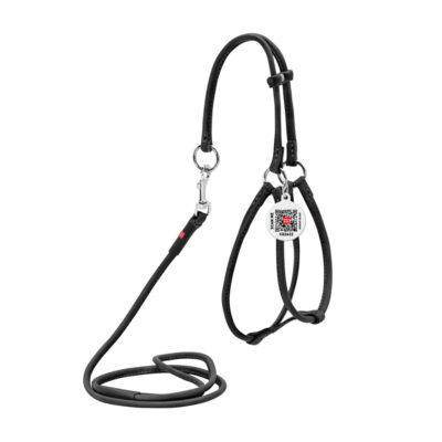 Шлея з повідцем WAUDOG Soft, шкіряна, кругла, для собак, Д 6 мм, А 26-46 см, В 30-50 см, чорний