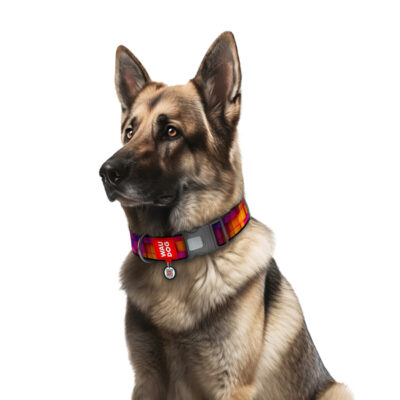 Нашийник WAUDOG Nylon "Куби 3Д" для собак, нейлоновий, XXL, D 35 мм, L 46-70 см 4