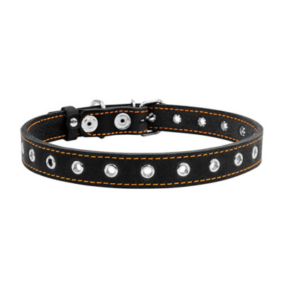 Нашийник CoLLaR для собак безрозмірний, чорний, шкіра, 50см × 20мм 2