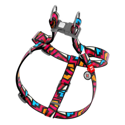 Шлея для собак WAUDOG Nylon, графіті, анатомічна, S (Ш 15 мм, обхват 40-55 см) 2