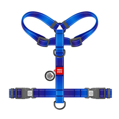 Шлея анатомічна WAUDOG Nylon Mono H-подібна, світловідбивна, для собак, розмір М, Ш 20 мм, А 38-60 см, В 45-60 см, синій 3