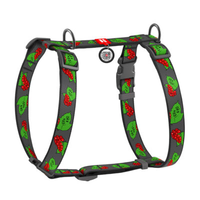 Шлея анатомічна H-подібна WAUDOG Nylon з QR-паспортом, L, Ш 25 мм, А 52-88, В 60-100