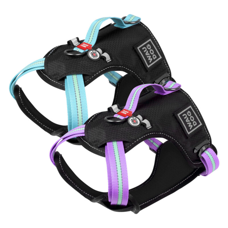 Шлея для собак WAUDOG Nylon безпечна, XL, Ш 25мм, А 60-95см, В 80-100см, блакитна