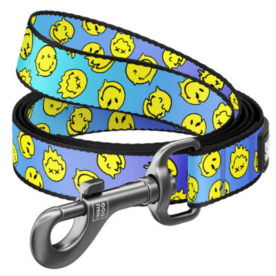 Повідець для собак WAUDOG Nylon "Смайли на блакитному", 25 мм, L-XXL, 122 см