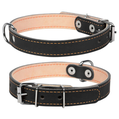 Нашийник CoLLaR подвійний для собак 32-40 см, ширина 20 мм, шкіра, чорний
