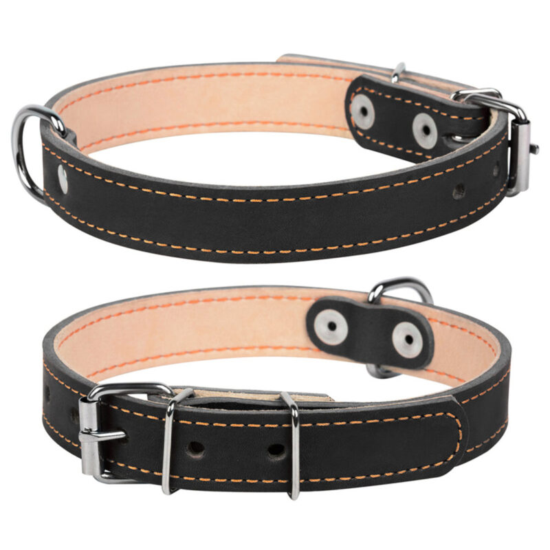 Нашийник CoLLaR подвійний для собак 32-40 см, ширина 20 мм, шкіра, чорний