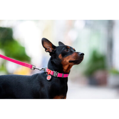 Нашийник для собак WAUDOG Waterproof, водостійкий, М, 20 мм, 28-40 см, рожевий 5