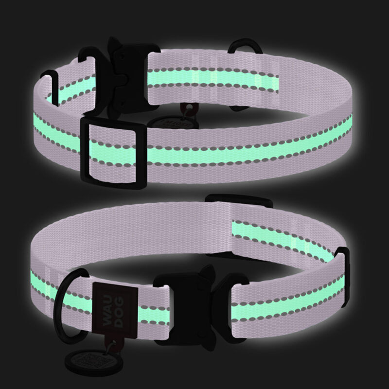Нашийник WAUDOG Nylon фіолетовий светловідбивний, нейлон, 25 мм × 37-58 см