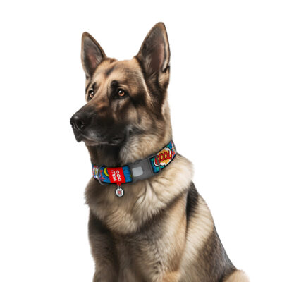Нашийник WAUDOG Nylon, нейлоновий, з QR паспортом, для собак XXL, Ш 35 мм, Дов 46-70 см 3