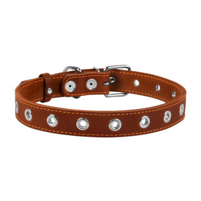 Нашийник CoLLaR безрозмірний, шкіряний, коричневий для собак, 25мм ширина, 60см довжина 2