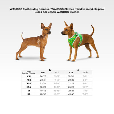 Шлея для собак WAUDOG Clothes м'яка з QR паспортом, "Літо", обхват грудей 40-45 см, обхват шиї 29-31 см 2