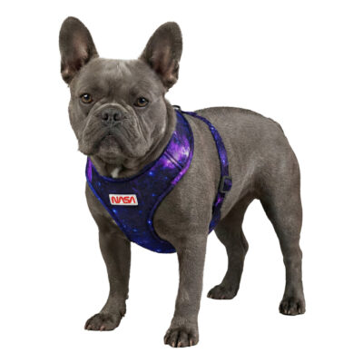 Шлея для собак WAUDOG Mesh дихаюча з QR адресником малюнок «NASA21», М, обхват шиї 35 см, грудей 42-60 см 4