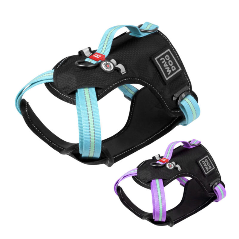 Шлея для собак WAUDOG Nylon з QR паспортом, металічна пряжка, M, Ш 20 мм, А 45-70 см, В 60-80 см, блакитний