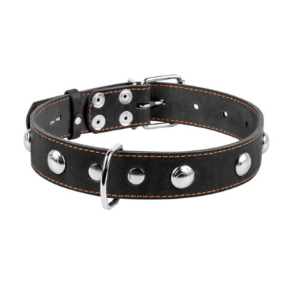Нашийник "CoLLaR" одинарний з прикрасами, шкіра, 48-63 см, ширина 35 мм, чорний 2