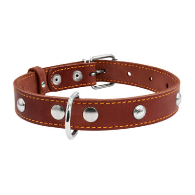 Нашийник CoLLaR одинарний з прикрасами 32-40 см, ширина 20 мм, шкіра, коричневий 2