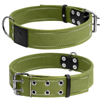 Нашийник для собак CoLLaR, брезентовий, подвійний, плоский, зеленого кольору, 56-71 см, ширина 45 мм