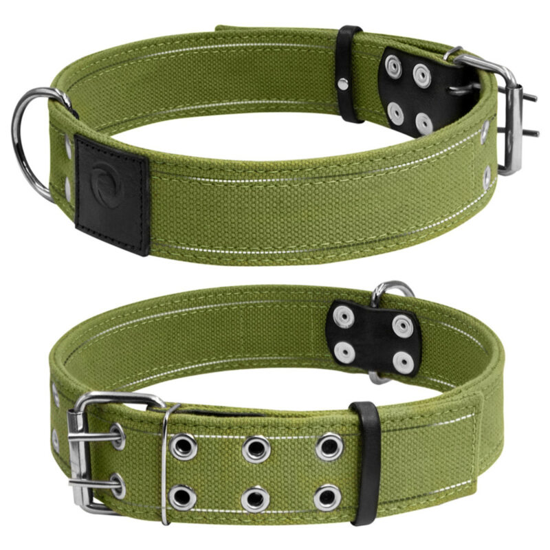 Нашийник для собак CoLLaR, брезентовий, подвійний, плоский, зеленого кольору, 56-71 см, ширина 45 мм
