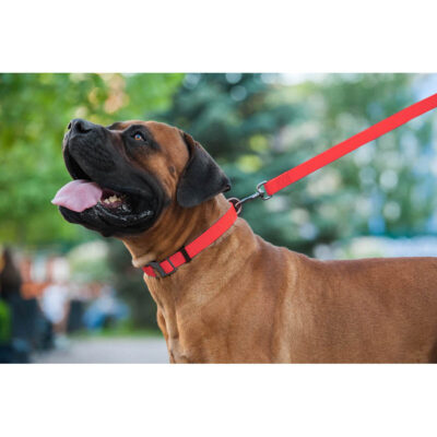 Повідець для собак WAUDOG Waterproof водостійкий, S, Ш 15 мм, Дов 183 см, червоний 7