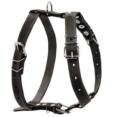 Шлея "CoLLaR" одинарна для середніх собак, шкіра, 25мм, обхват шиї 49-68см, грудей 68-80см, чорна